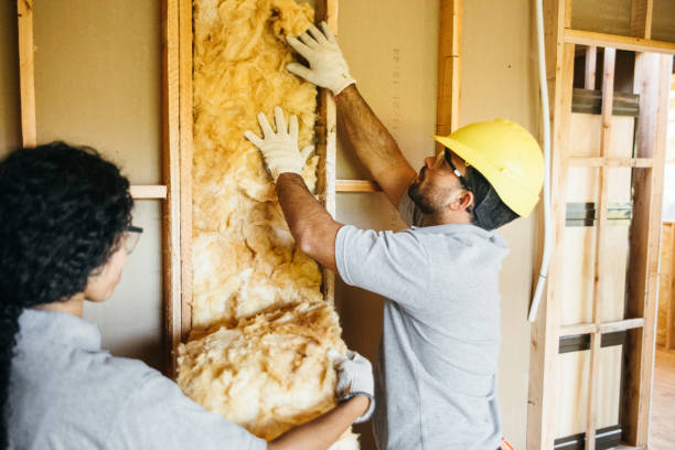 Best Radiant Barrier Insulation  in Bouse, AZ